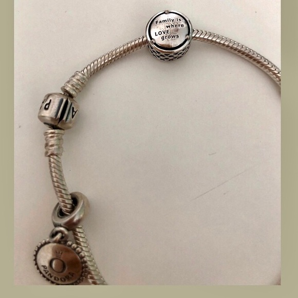 Pandora silver bracelet with tree of life charm - Picture 3 of 3